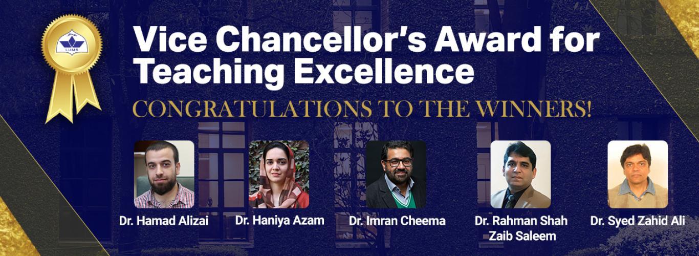 Vice chancellors award for teaching excellence